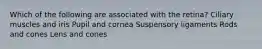 Which of the following are associated with the retina? Ciliary muscles and iris Pupil and cornea Suspensory ligaments Rods and cones Lens and cones