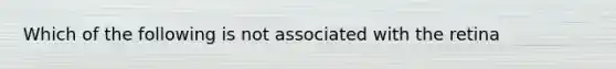 Which of the following is not associated with the retina