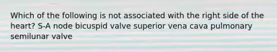 Which of the following is not associated with the right side of the heart? S-A node bicuspid valve superior vena cava pulmonary semilunar valve