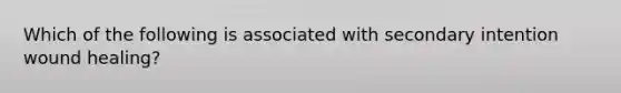 Which of the following is associated with secondary intention wound healing?