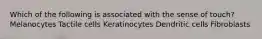 Which of the following is associated with the sense of touch? Melanocytes Tactile cells Keratinocytes Dendritic cells Fibroblasts