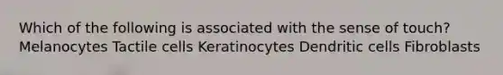 Which of the following is associated with the sense of touch? Melanocytes Tactile cells Keratinocytes Dendritic cells Fibroblasts