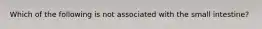 Which of the following is not associated with the small intestine?