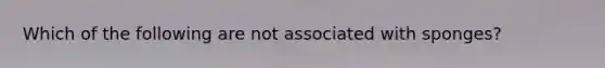 Which of the following are not associated with sponges?