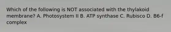 Which of the following is NOT associated with the thylakoid membrane? A. Photosystem II B. ATP synthase C. Rubisco D. B6-f complex