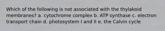 Which of the following is not associated with the thylakoid membranes? a. cytochrome complex b. ATP synthase c. electron transport chain d. photosystem I and II e. the Calvin cycle