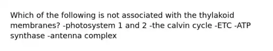 Which of the following is not associated with the thylakoid membranes? -photosystem 1 and 2 -the calvin cycle -ETC -ATP synthase -antenna complex