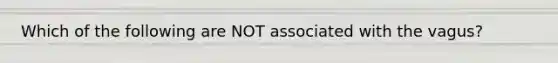 Which of the following are NOT associated with the vagus?