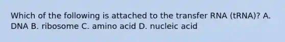 Which of the following is attached to the transfer RNA (tRNA)? A. DNA B. ribosome C. amino acid D. nucleic acid