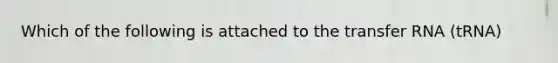 Which of the following is attached to the <a href='https://www.questionai.com/knowledge/kYREgpZMtc-transfer-rna' class='anchor-knowledge'>transfer rna</a> (tRNA)
