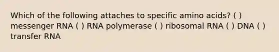 Which of the following attaches to specific <a href='https://www.questionai.com/knowledge/k9gb720LCl-amino-acids' class='anchor-knowledge'>amino acids</a>? ( ) <a href='https://www.questionai.com/knowledge/kDttgcz0ig-messenger-rna' class='anchor-knowledge'>messenger rna</a> ( ) RNA polymerase ( ) ribosomal RNA ( ) DNA ( ) <a href='https://www.questionai.com/knowledge/kYREgpZMtc-transfer-rna' class='anchor-knowledge'>transfer rna</a>