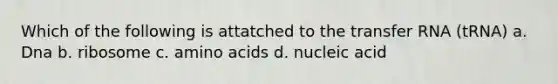 Which of the following is attatched to the transfer RNA (tRNA) a. Dna b. ribosome c. amino acids d. nucleic acid