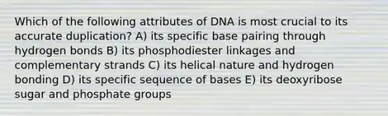 Which of the following attributes of DNA is most crucial to its accurate duplication? A) its specific base pairing through hydrogen bonds B) its phosphodiester linkages and complementary strands C) its helical nature and hydrogen bonding D) its specific sequence of bases E) its deoxyribose sugar and phosphate groups