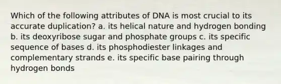 Which of the following attributes of DNA is most crucial to its accurate duplication? a. its helical nature and hydrogen bonding b. its deoxyribose sugar and phosphate groups c. its specific sequence of bases d. its phosphodiester linkages and complementary strands e. its specific base pairing through hydrogen bonds