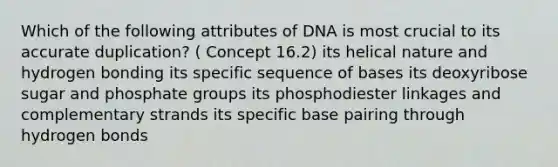 Which of the following attributes of DNA is most crucial to its accurate duplication? ( Concept 16.2) its helical nature and hydrogen bonding its specific sequence of bases its deoxyribose sugar and phosphate groups its phosphodiester linkages and complementary strands its specific base pairing through hydrogen bonds