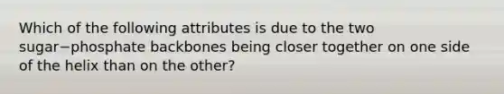 Which of the following attributes is due to the two sugar−phosphate backbones being closer together on one side of the helix than on the other?
