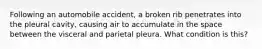 Following an automobile accident, a broken rib penetrates into the pleural cavity, causing air to accumulate in the space between the visceral and parietal pleura. What condition is this?