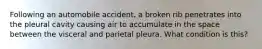 Following an automobile accident, a broken rib penetrates into the pleural cavity causing air to accumulate in the space between the visceral and parietal pleura. What condition is this?