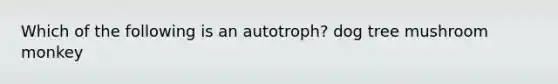 Which of the following is an autotroph? dog tree mushroom monkey