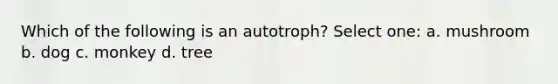 Which of the following is an autotroph? Select one: a. mushroom b. dog c. monkey d. tree