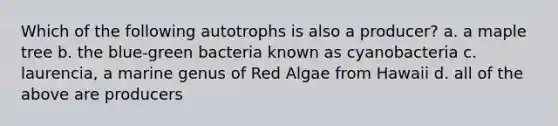 Which of the following autotrophs is also a producer? a. a maple tree b. the blue-green bacteria known as cyanobacteria c. laurencia, a marine genus of Red Algae from Hawaii d. all of the above are producers