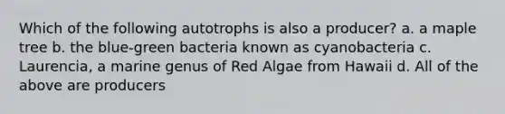 Which of the following autotrophs is also a producer? a. a maple tree b. the blue-green bacteria known as cyanobacteria c. Laurencia, a marine genus of Red Algae from Hawaii d. All of the above are producers