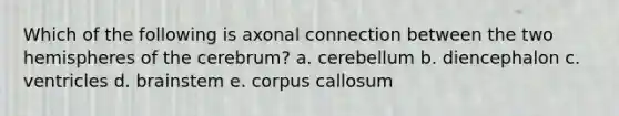 Which of the following is axonal connection between the two hemispheres of the cerebrum? a. cerebellum b. diencephalon c. ventricles d. brainstem e. corpus callosum