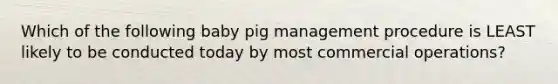 Which of the following baby pig management procedure is LEAST likely to be conducted today by most commercial operations?