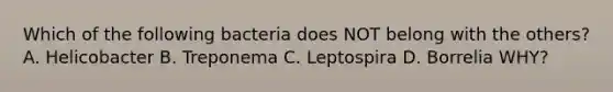 Which of the following bacteria does NOT belong with the others? A. Helicobacter B. Treponema C. Leptospira D. Borrelia WHY?