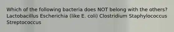 Which of the following bacteria does NOT belong with the others? Lactobacillus Escherichia (like E. coli) Clostridium Staphylococcus Streptococcus