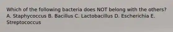 Which of the following bacteria does NOT belong with the others? A. Staphycoccus B. Bacillus C. Lactobacillus D. Escherichia E. Streptococcus