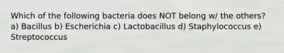 Which of the following bacteria does NOT belong w/ the others? a) Bacillus b) Escherichia c) Lactobacillus d) Staphylococcus e) Streptococcus