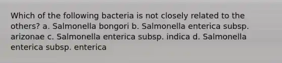 Which of the following bacteria is not closely related to the others? a. Salmonella bongori b. Salmonella enterica subsp. arizonae c. Salmonella enterica subsp. indica d. Salmonella enterica subsp. enterica