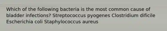 Which of the following bacteria is the most common cause of bladder infections? Streptococcus pyogenes Clostridium dificile Escherichia coli Staphylococcus aureus