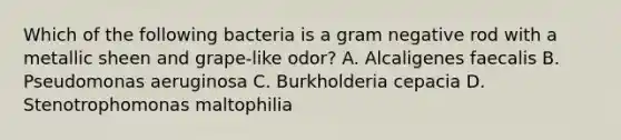 Which of the following bacteria is a gram negative rod with a metallic sheen and grape-like odor? A. Alcaligenes faecalis B. Pseudomonas aeruginosa C. Burkholderia cepacia D. Stenotrophomonas maltophilia