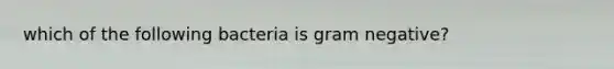 which of the following bacteria is gram negative?