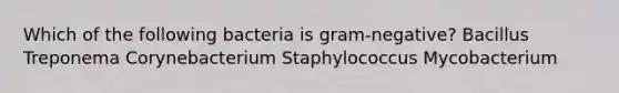 Which of the following bacteria is gram-negative? Bacillus Treponema Corynebacterium Staphylococcus Mycobacterium