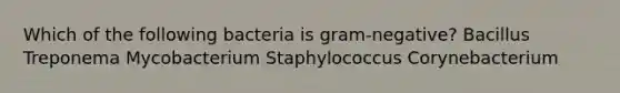 Which of the following bacteria is gram-negative? Bacillus Treponema Mycobacterium Staphylococcus Corynebacterium