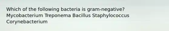 Which of the following bacteria is gram-negative? Mycobacterium Treponema Bacillus Staphylococcus Corynebacterium