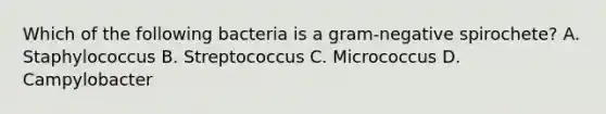 Which of the following bacteria is a gram-negative spirochete? A. Staphylococcus B. Streptococcus C. Micrococcus D. Campylobacter