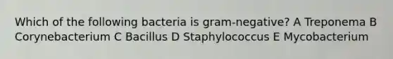 Which of the following bacteria is gram-negative? A Treponema B Corynebacterium C Bacillus D Staphylococcus E Mycobacterium