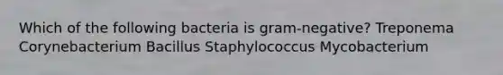 Which of the following bacteria is gram-negative? Treponema Corynebacterium Bacillus Staphylococcus Mycobacterium