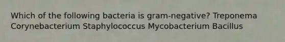 Which of the following bacteria is gram-negative? Treponema Corynebacterium Staphylococcus Mycobacterium Bacillus