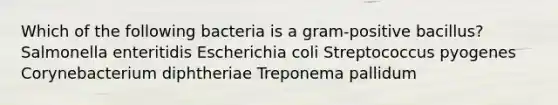 Which of the following bacteria is a gram-positive bacillus? Salmonella enteritidis Escherichia coli Streptococcus pyogenes Corynebacterium diphtheriae Treponema pallidum