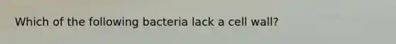 Which of the following bacteria lack a cell wall?