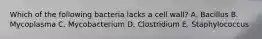 Which of the following bacteria lacks a cell wall? A. Bacillus B. Mycoplasma C. Mycobacterium D. Clostridium E. Staphylococcus