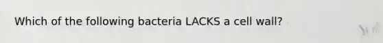 Which of the following bacteria LACKS a cell wall?