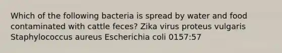 Which of the following bacteria is spread by water and food contaminated with cattle feces? Zika virus proteus vulgaris Staphylococcus aureus Escherichia coli 0157:57