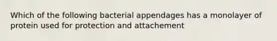 Which of the following bacterial appendages has a monolayer of protein used for protection and attachement