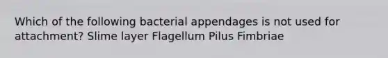 Which of the following bacterial appendages is not used for attachment? Slime layer Flagellum Pilus Fimbriae